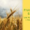 Slow Fiumicino