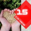 Slow Fiumicino, episodio 15