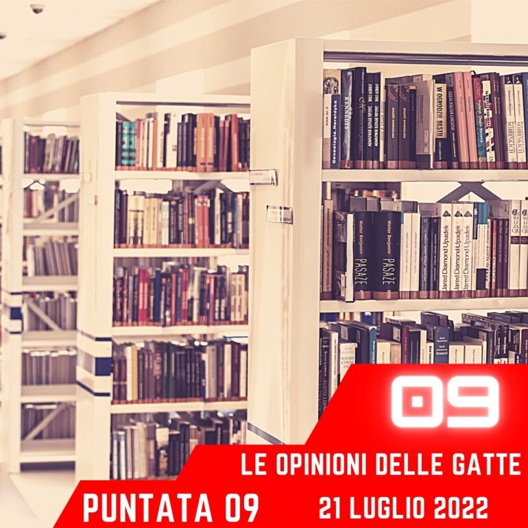 Le opinioni Delle Gatte