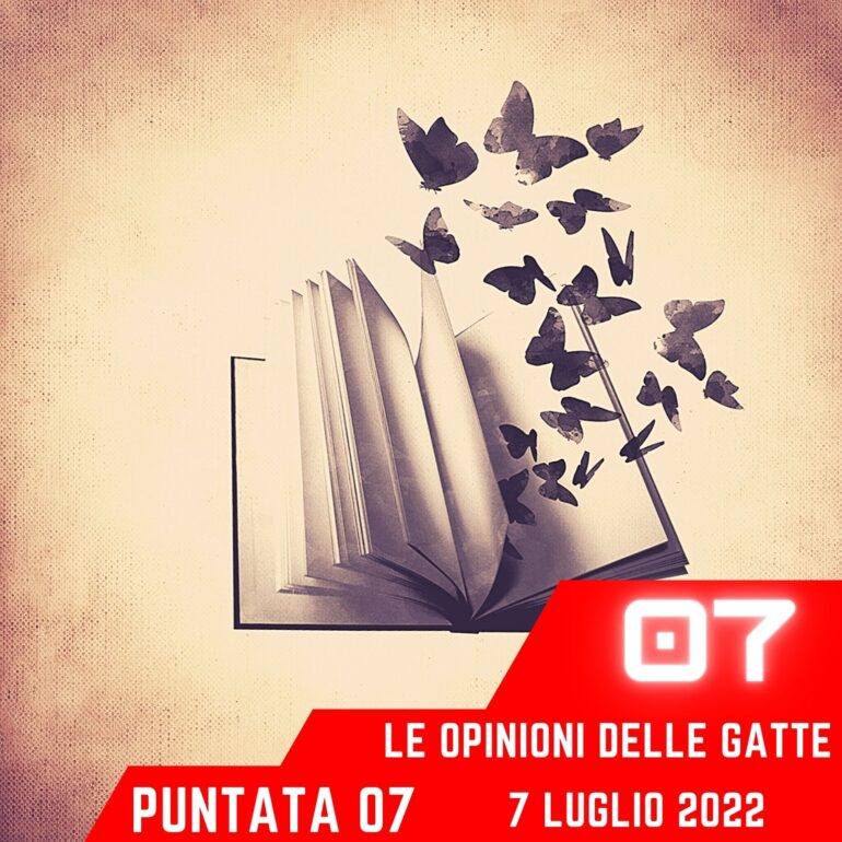 Le Opinioni Delle Gatte