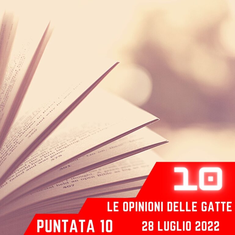 Le Opinioni Delle Gatte
