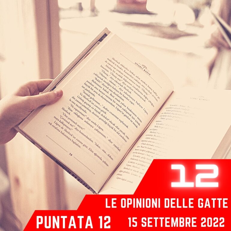 Le Opinioni Delle Gatte
