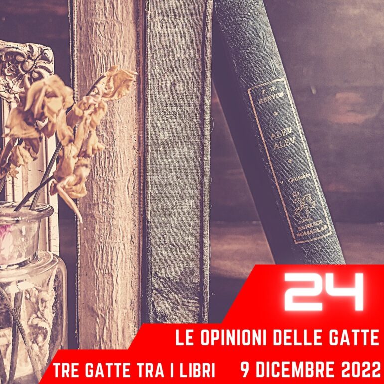 Le Opinioni Delle Gatte