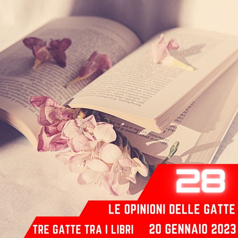 Le Opinioni Delle Gatte