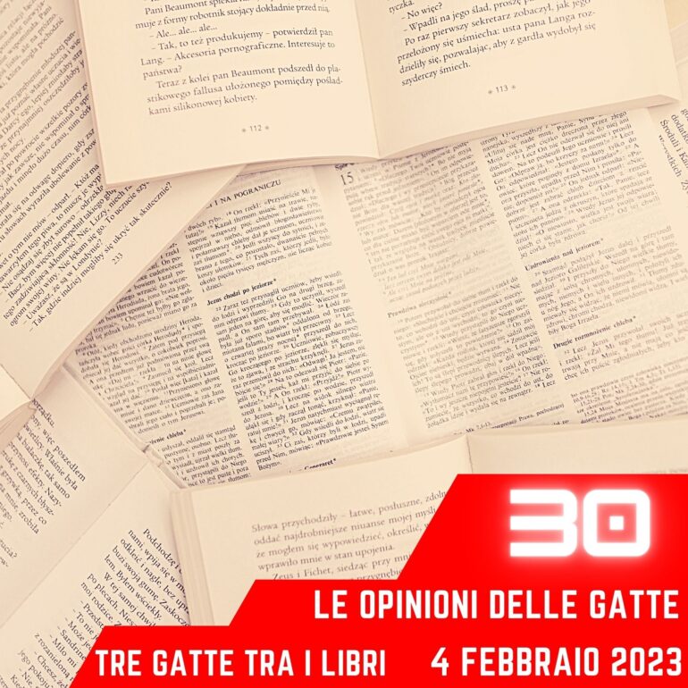 Le opinioni delle gatte