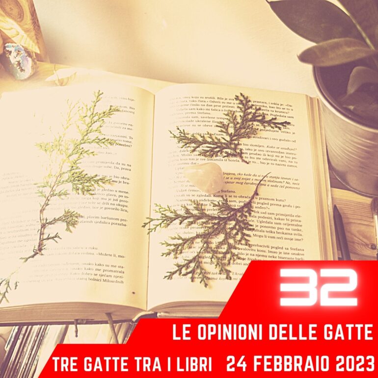 Le opinioni delle Gatte
