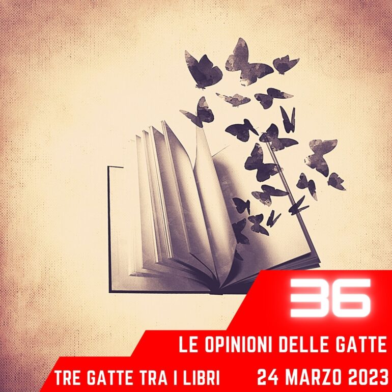 Le Opinioni Delle Gatte
