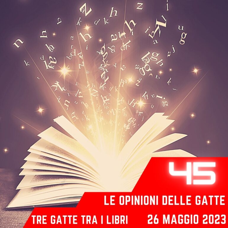 Le opinioni delle gatte