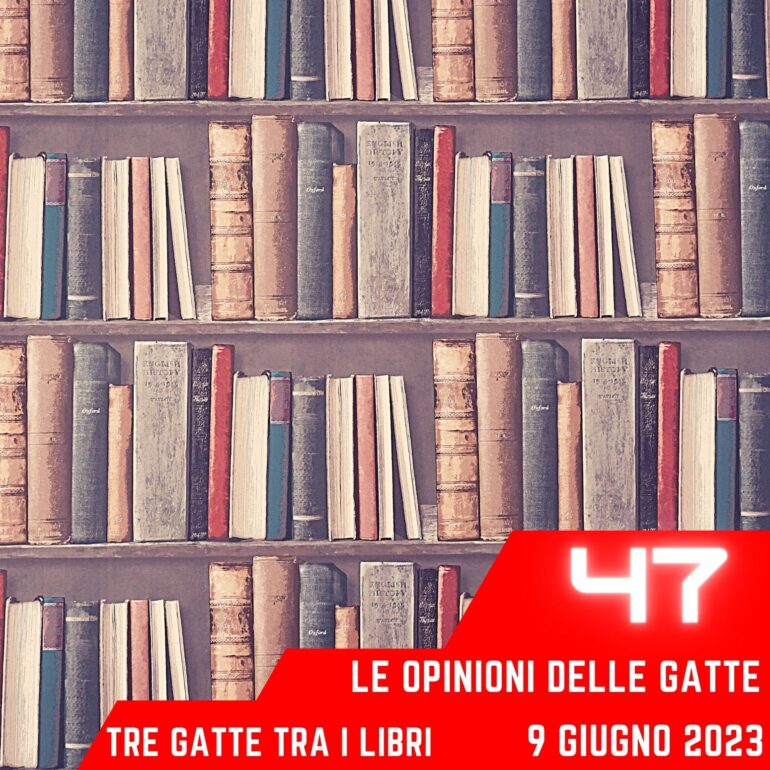 Le Opinioni Delle Gatte