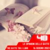 Le Opinioni Delle Gatte, puntata 48 – 16 Giugno 2023