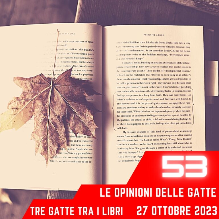 Le Opinioni Delle Gatte