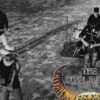 “3 Legs Chair”, il nuovo album dei The Steel Bones tra radici rock e identità rinnovata